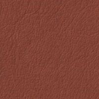 COGNAC - Carpanese SPA