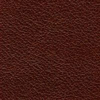 CIOCCOLATO - Carpanese SPA