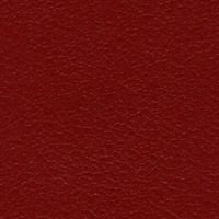 CARDINALE - Carpanese SPA